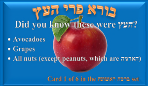 Sample Torah Card